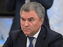 Володин прокомментировал идею регулирования криптовалют