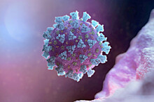 Ученые нашли перспективное лекарство от коронавируса