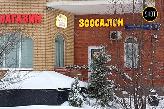 Более 100 россиян потеряли миллионы, инвестировав в зоосалон «Усатые друзья»