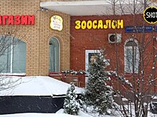 Более 100 россиян потеряли миллионы, инвестировав в зоосалон «Усатые друзья»