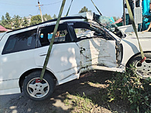 В Зее женщина-водитель получила травмы, врезавшись в дерево