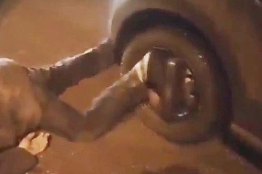 Екатеринбуржца "намотало" на колесо иномарки на Таватуйской