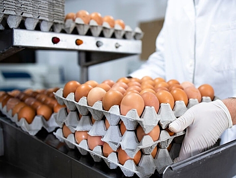 Правительство РФ обнулило пошлины на импортные яйца