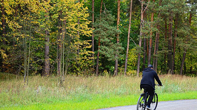 В 2026 году в Подмосковье благоустроят почти 80 объектов