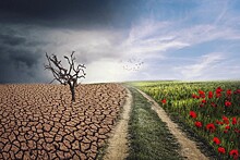 Климатические изменения: повод для наживы или стимул для решения реальных проблем?