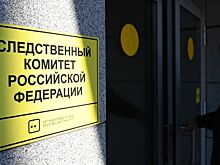 В Тольятти убили двух малолетних девочек