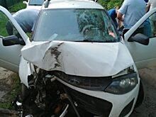 В Орловском районе «Лада Калина» протаранила дерево