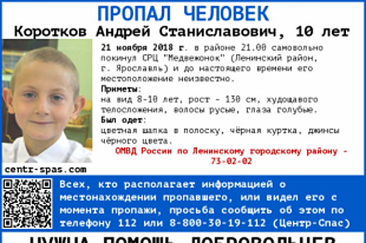 В Ярославле волонтеры ищут 10-летнего мальчика