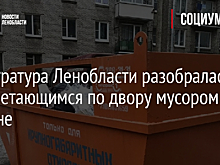 Прокуратура Ленобласти разобралась с разлетающимся по двору мусором в Гатчине