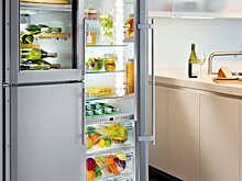 Ученые рассказали, где в холодильнике опасно хранить продукты