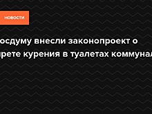 В Госдуму внесли законопроект о запрете курения в туалетах коммуналок — Daily Storm