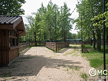 Концепцию развития главного парка Омска представят к концу года