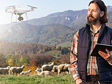 Дроны пасут буренок и сеют картофель