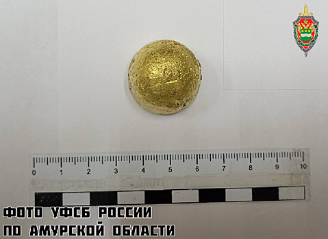 Амурчанин лишился дорогого Mercedes-Benz из-за попытки спрятать золото