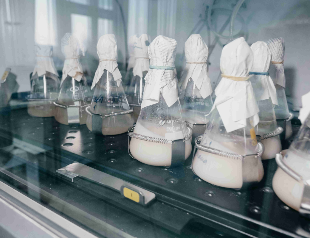 Ученые приготовили из рыбных отходов сложный двухкомпонентный пластик