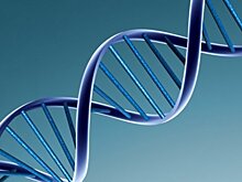 Курение в помещении ломает клетки ДНК