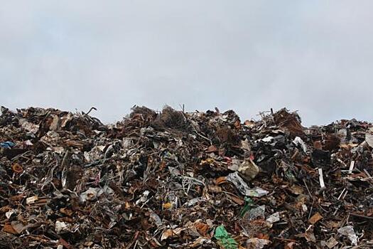 Омского министра экологии шантажируют новым мусорным коллапсом