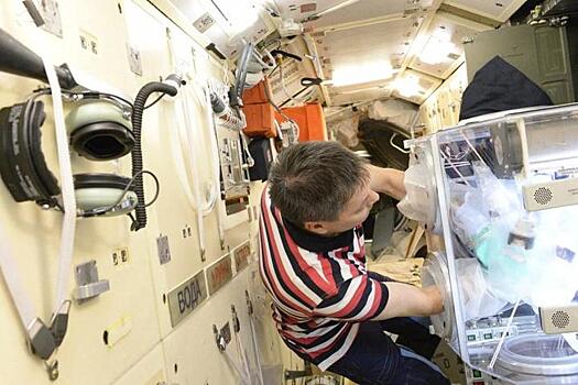 Российские космонавты распечатали человеческие ткани на биопринтере