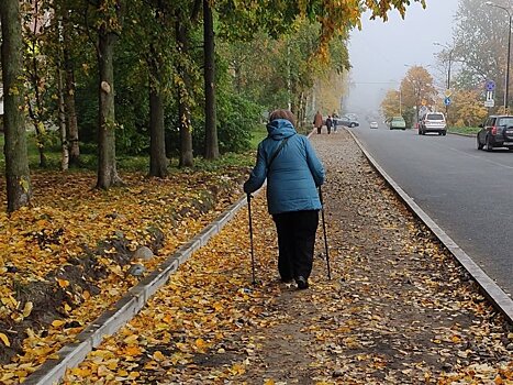 В Заксобрание внесен законопроект о выплате по 10 тысяч рублей жителям Карелии старше 65 лет