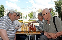 Встреча любителей шахмат прошла в Щербинке