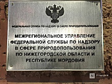 Компанию оштрафовали за нарушение правил перевозки отходов в Дзержинске