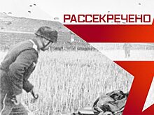 Бабушка приехала: опубликован секретный доклад о немецких диверсантах в тылу СССР