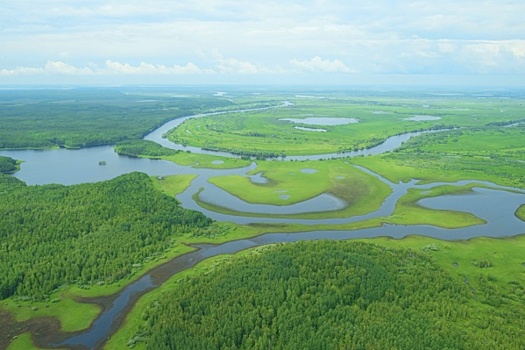 «Мегионнефтегаз» внедряет новый абсорбент для рекультивационных работ