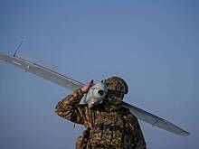 Политолог разъяснил сложности вокруг уступки Украины по членству в НАТО