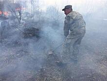 В Тольятти подозрение в поджоге городского леса пало на главного экоактивиста