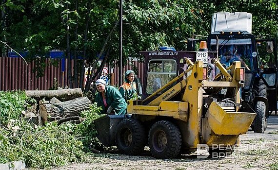 В Татарстане реализовано древесины на 50,8 млн рублей