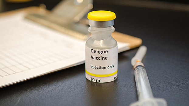 Президент Бразилии и генеральный директор ВОЗ обсудили производство вакцины от денге