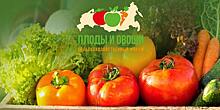О выращивании картофеля в Сибири расскажет Юрий Марченко на III форуме-выставке «Плоды и овощи России 2021»