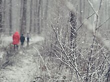 Несколько трасс в российском регионе закрыли из-за мощного циклона