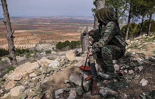 Дамаск высказался об автономии курдов в Сирии
