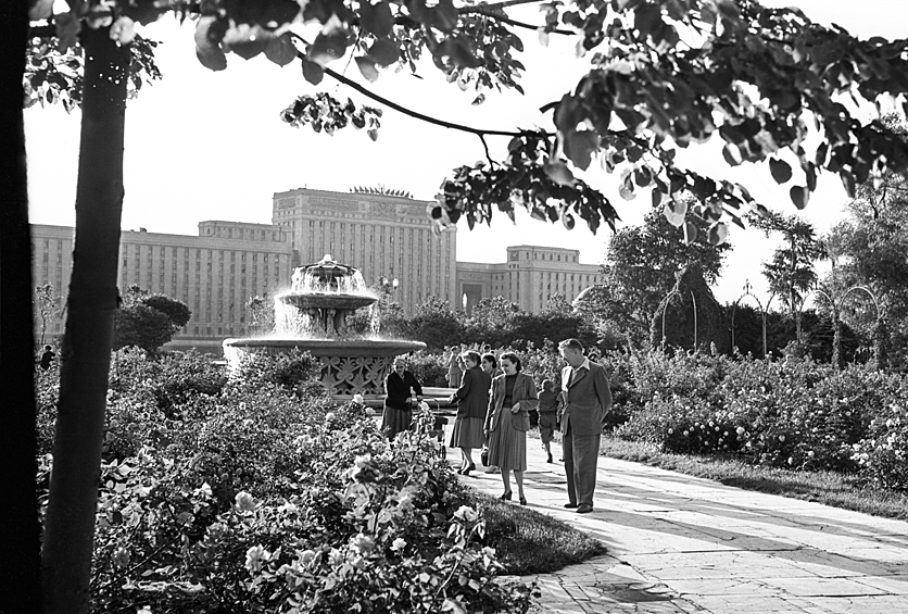 Розарий Центрального парка культуры и отдыха имени Максима Горького, 1956 год