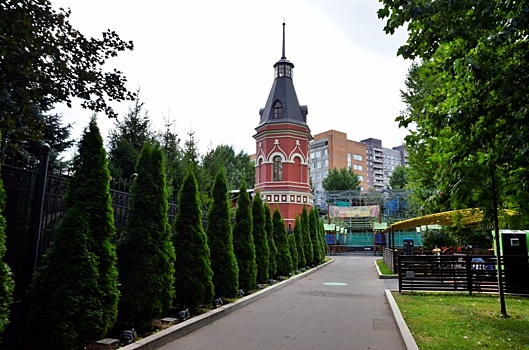 Дистанционный мастер-класс по фотографии организовали сотрудники парка «Таганский»