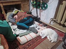 Как прожить в заброшенном детском лагере, где 30 лет не отключают электричество