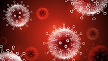 В Ноябрьске число заболевших коронавирусом достигло 373 человек.