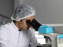 Управление белками шаперонами замедляет клеточное старение глаз