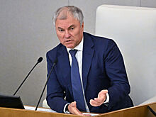 В Госдуме рассмотрят ограничения для уехавших из страны россиян