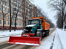 Хабаровск передает контроль за газонами и мусором искусственному интеллекту