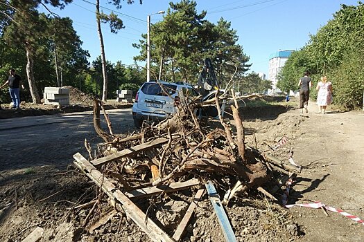 Симферопольцы возмутились строительством автостоянки на месте деревьев