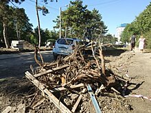Симферопольцы возмутились строительством автостоянки на месте деревьев