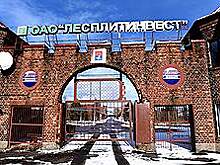 "Лесплитинвест" замыкает цикл