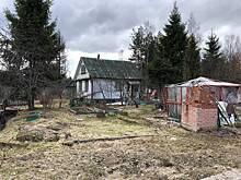 Дачников предупредили об опасных последствиях похолодания в Москве