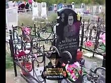 Разгромленные школьниками начальных классов могилы участников СВО сняли на видео