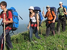 В акции РЭО «Ёлочный круговорот» приняли участие более 70 регионов