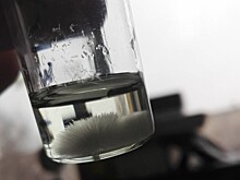 В лаборатории синтезировали новые аналоги морских метаболитов для борьбы с бактериями и онкологическими заболеваниями