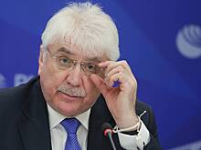 В Госдуме отреагировали на планы ЕС ограничить перемещение российских дипломатов