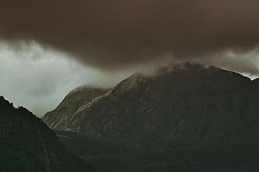 Грузия временно закрыла границу с Россией